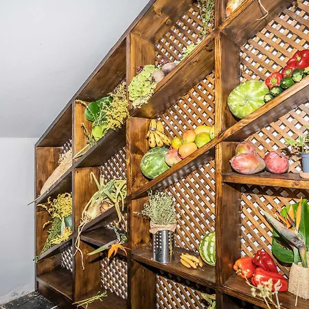 Hotel Ecolife Tenerife 3*