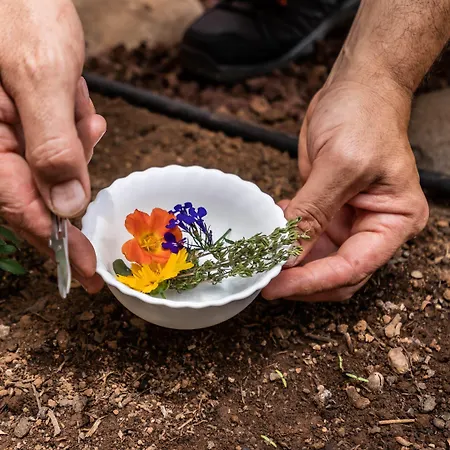 Ecolife Tenerife Hotel 3*