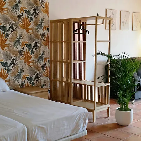 Ecolife Tenerife