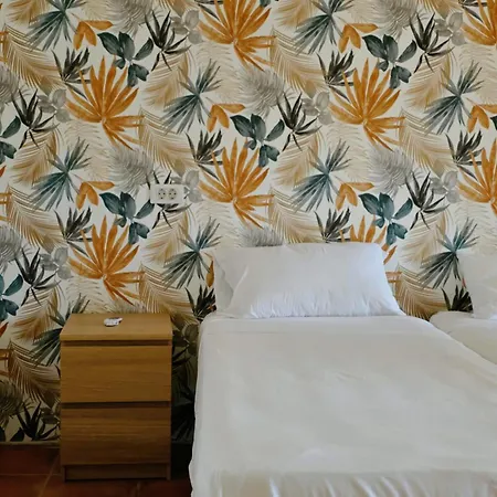 Ecolife Tenerife