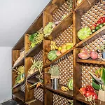 Hotel Ecolife Tenerife 3*